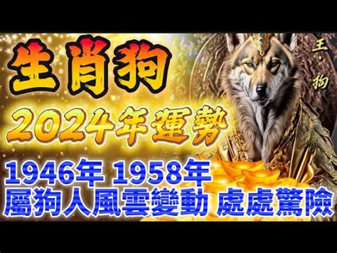 1958年屬什麼生肖|【1958年 生肖】【1958年生肖揭曉】屬什麼？五行命運大公開！